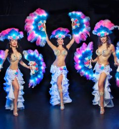 Световое шоу в латиноамериканском стиле «Cальса»